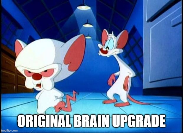 brain