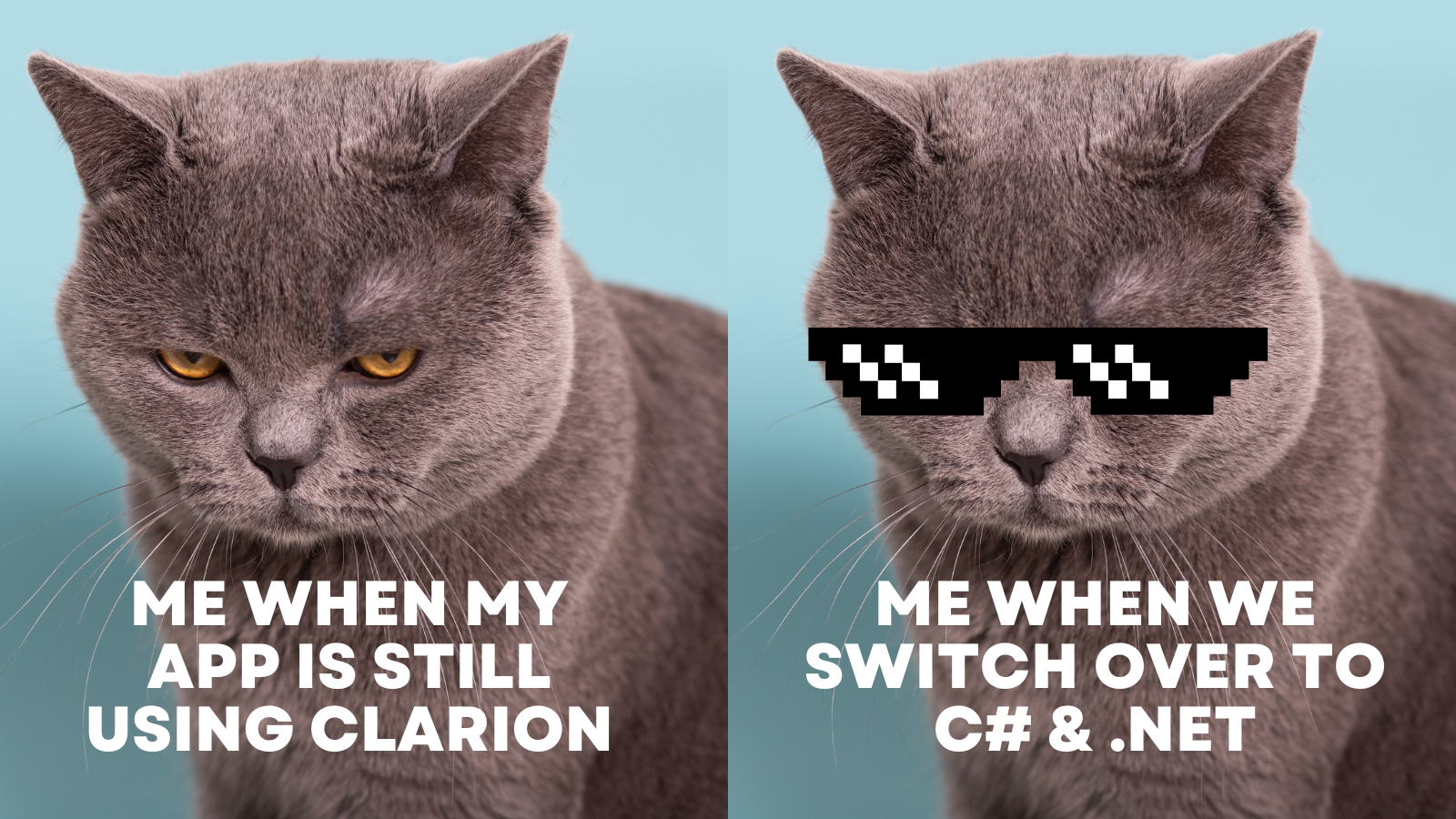 clarion meme