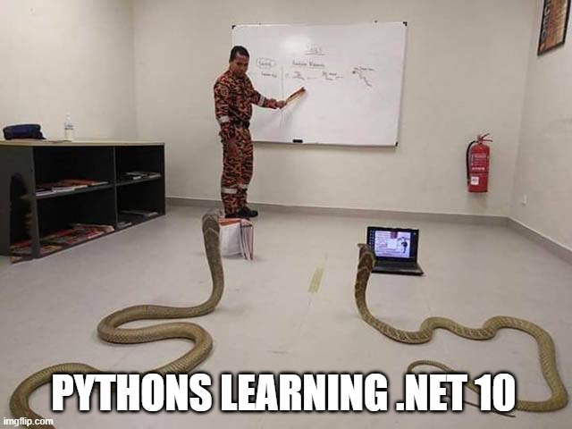 python dotnet 10