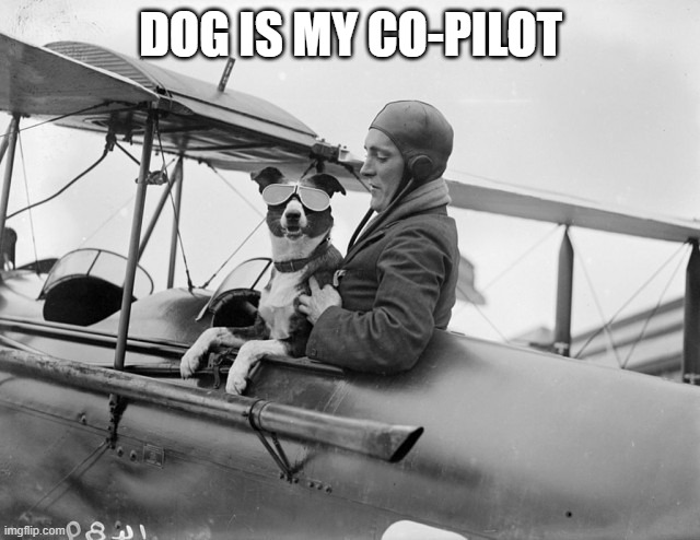 Who's Smarter? Me or GitHub Copilot - Generative AI in Programming